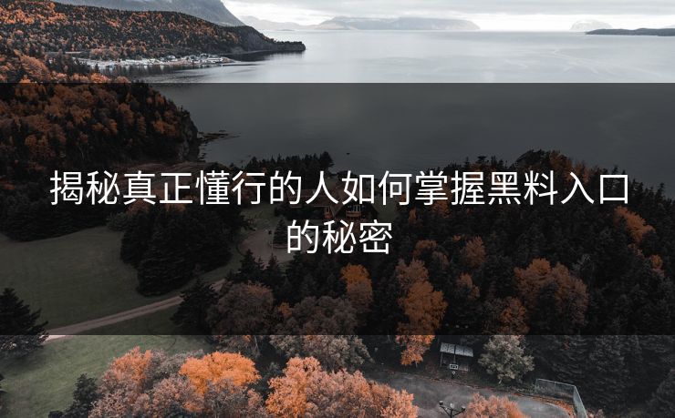 揭秘真正懂行的人如何掌握黑料入口的秘密